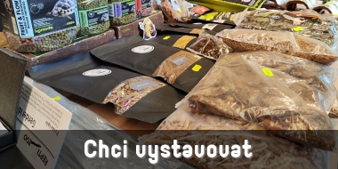 Chci vystavovat